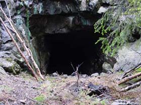 Dalbekk Vel