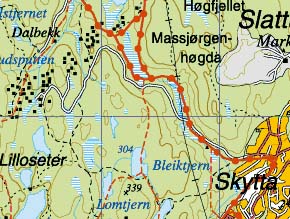 bjønndalsveien